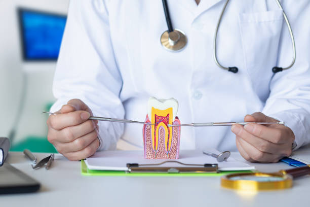 Best Knocked-Out Tooth Emergency  in Long Beach, MD